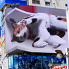 東京散歩(新宿東口)