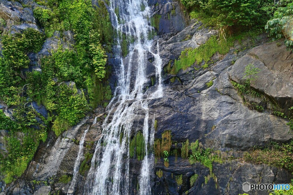 ケアンズ・キュランダ高原列車