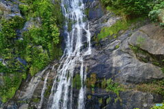 ケアンズ・キュランダ高原列車