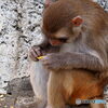 東武動物公園