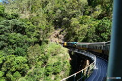 ケアンズ・キュランダ高原列車
