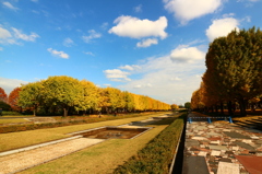 昭和記念公園の紅葉
