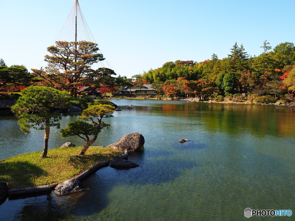 日本庭園の紅葉(昭和記念公園)