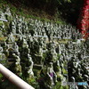 南蔵院