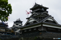 熊本城再建途中