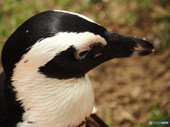 海の中道マリンワールド