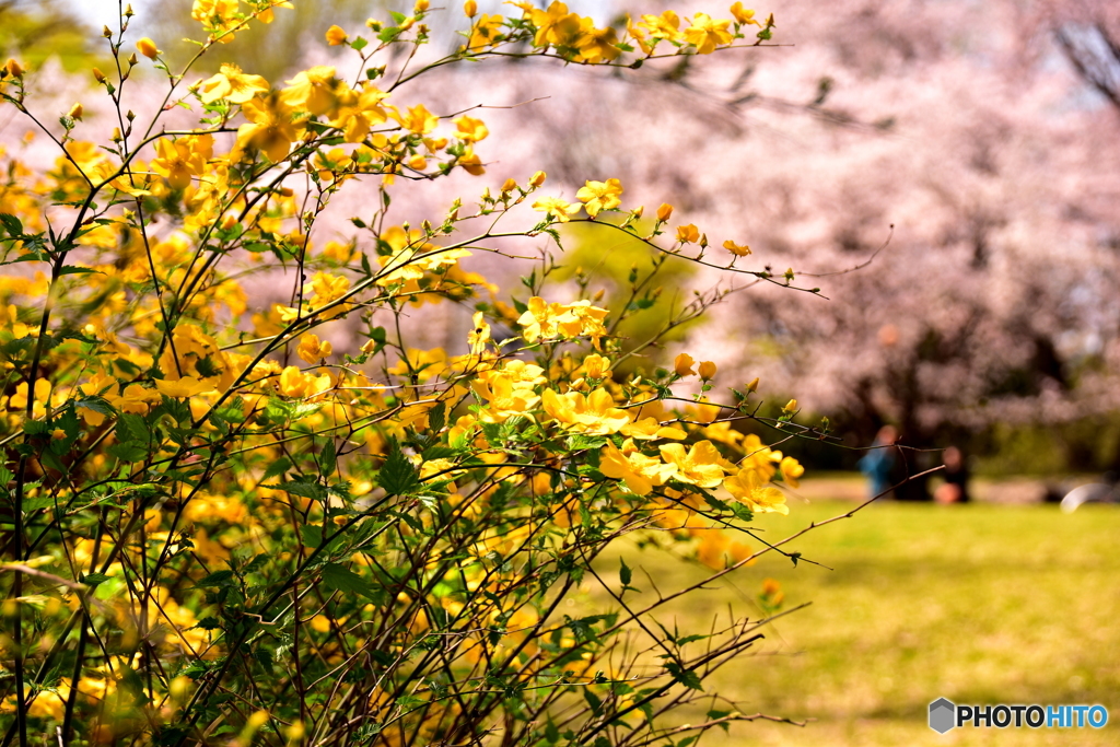 航空公園