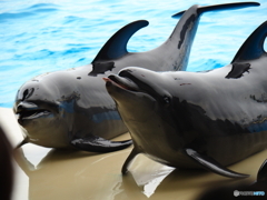 海の中道マリンワールド