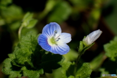 P3310018