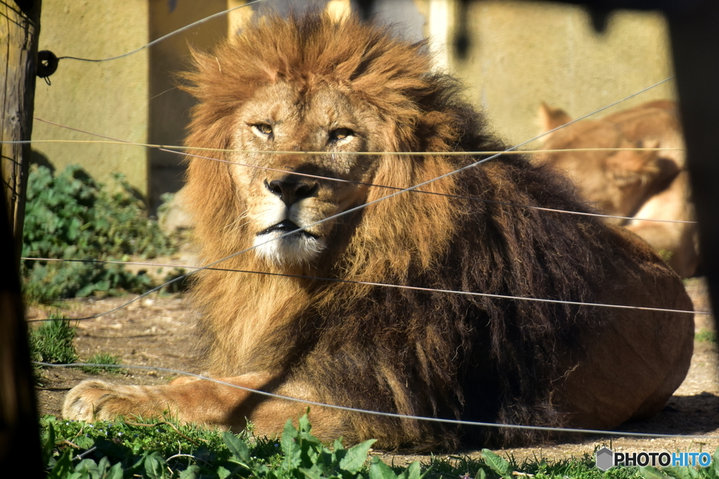 東武動物園