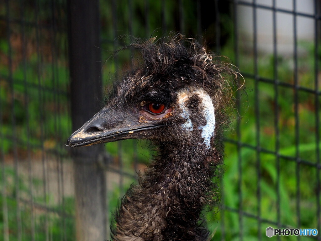 東武動物公園