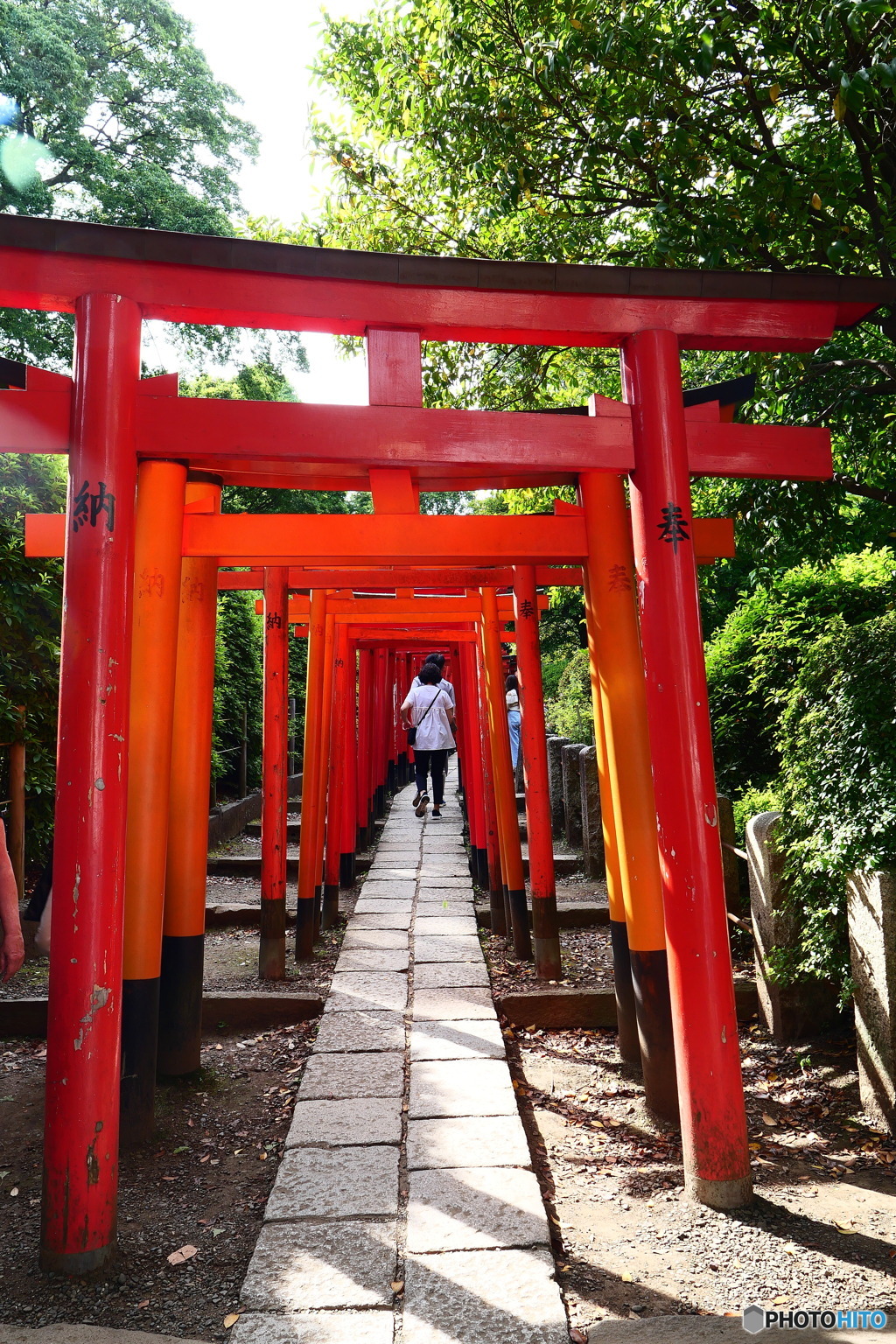 東京散歩(根津神社)