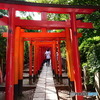 東京散歩(根津神社)