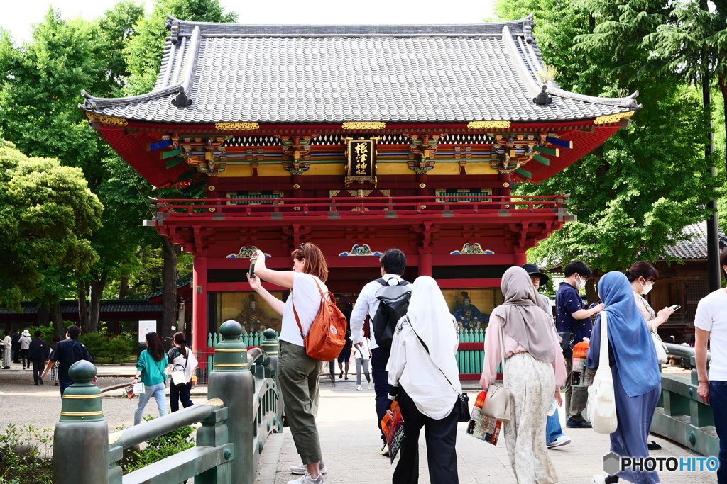 東京散歩(根津神社)