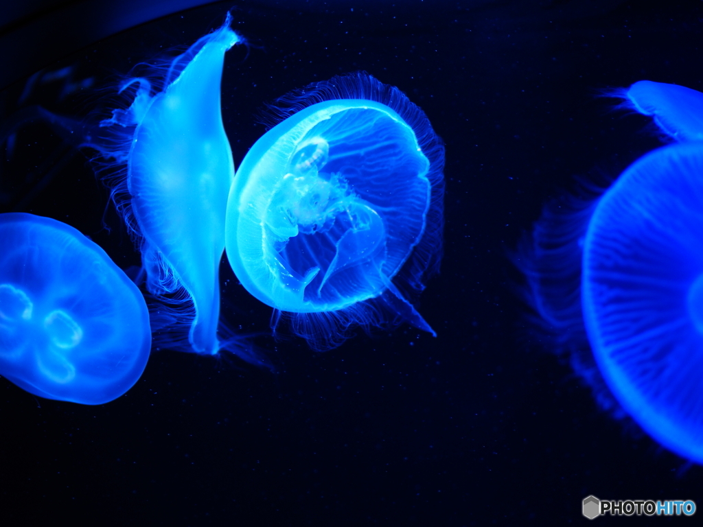 海の中道マリンワールド