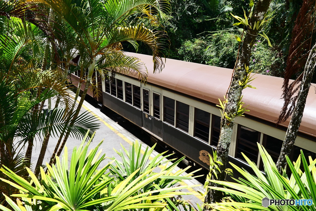 ケアンズ・キュランダ高原列車