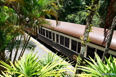 ケアンズ・キュランダ高原列車