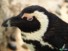 海の中道マリンワールド
