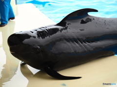 海の中道マリンワールド