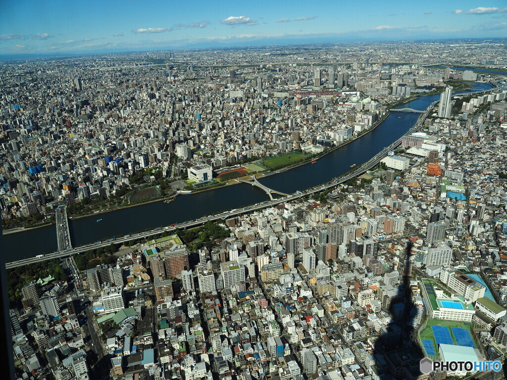 スカイツリーから