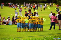 サッカーのヒヨコさんたち(昭和記念公園)