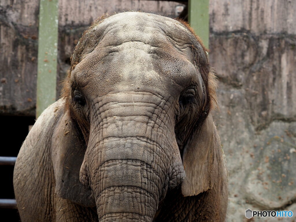 東武動物公園