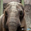 東武動物公園