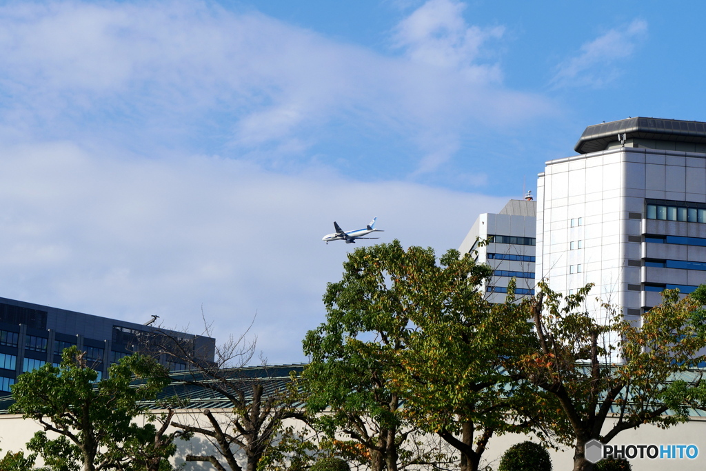 大阪城の近く
