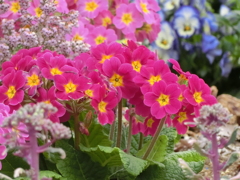 昭和記念公園にて