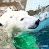 天王寺動物園