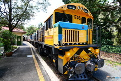 ケアンズ・キュランダ高原列車