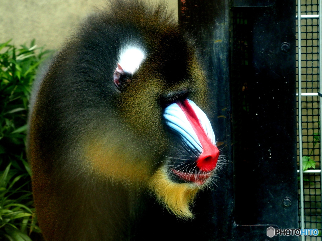 東武動物公園