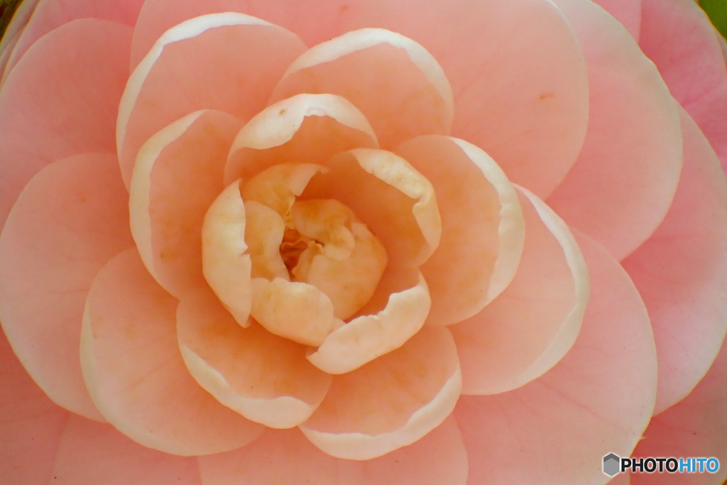 P3310024