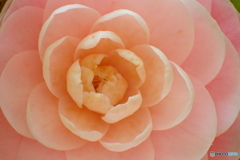P3310024