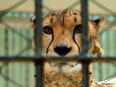 東武動物公園