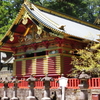 日光にて