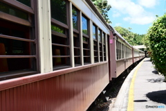 ケアンズ・キュランダ高原列車