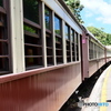 ケアンズ・キュランダ高原列車