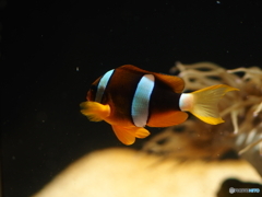 海の中道マリンワールド