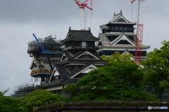 熊本城再建途中