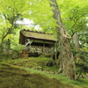 兼六園＠2015GW