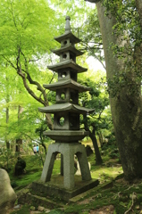 兼六園＠2015GW