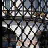神戸布引ハーブ園4