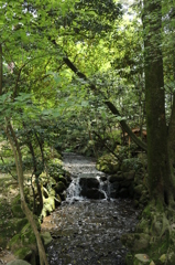 兼六園＠2015GW