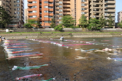 浅野川＠金沢 2015