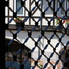 神戸布引ハーブ園5
