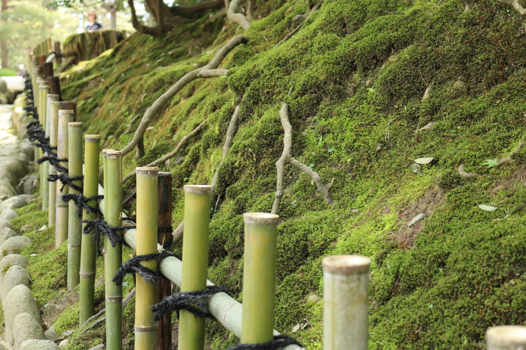 兼六園＠2015GW