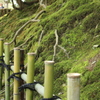 兼六園＠2015GW