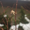 独り