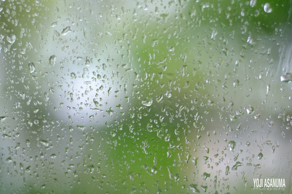 五月雨